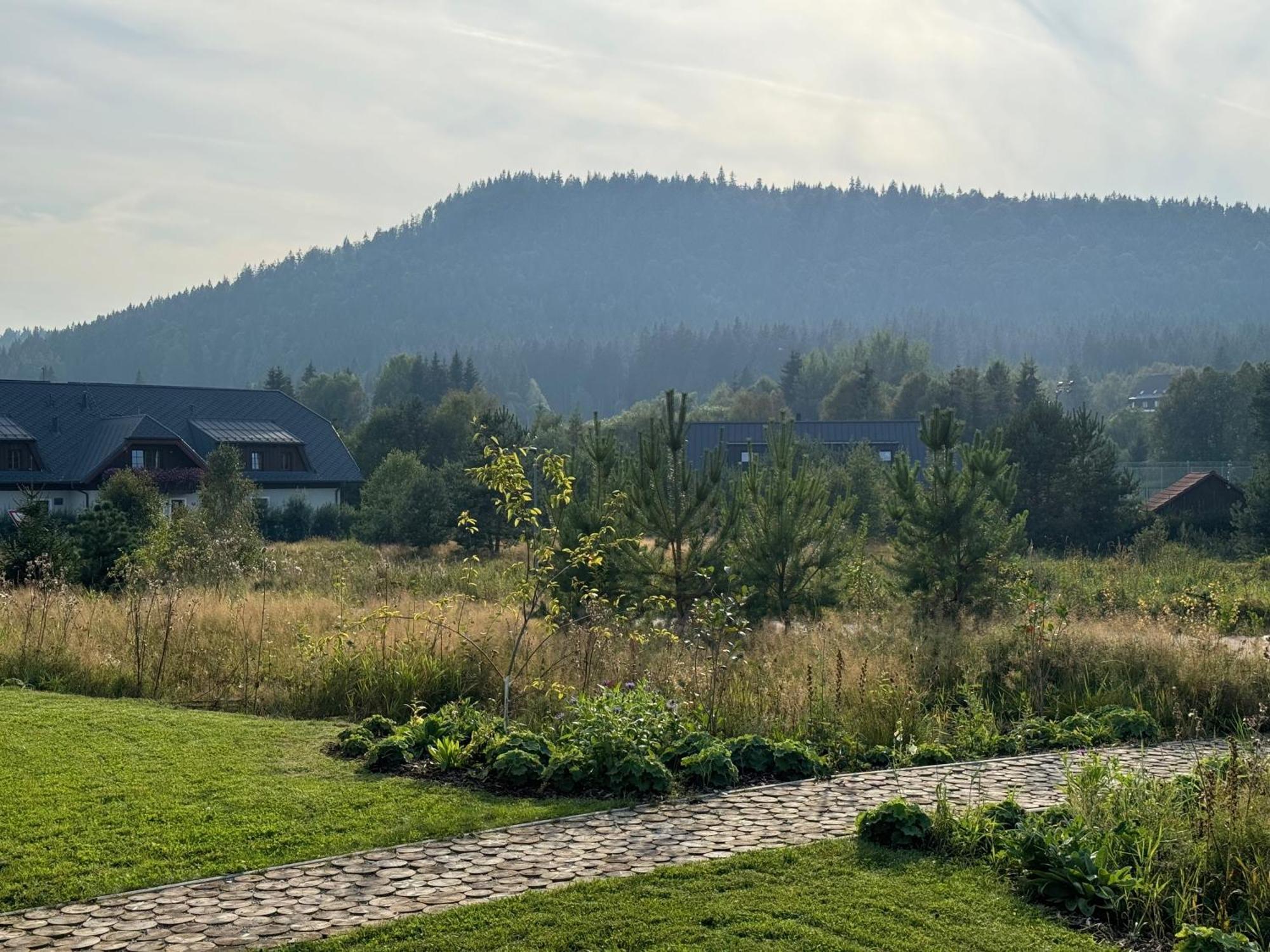 Apartment Cerny Vlk,